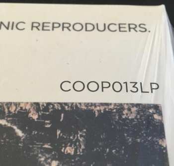 2LP Black Rebel Motorcycle Club: Beat The Devil's Tattoo LTD | CLR