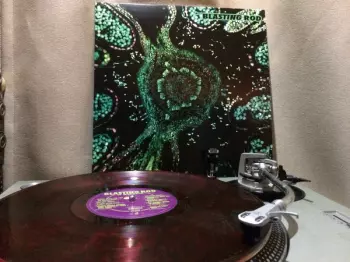 Blasting Rod: Of Wild Hazel