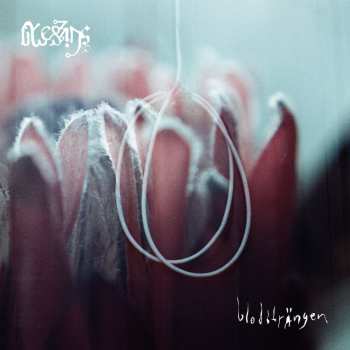 LP Blessings: Blodsträngen