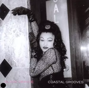 Blood Orange: Coastal Grooves