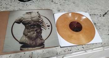 LP Bloodlines: Hevel CLR | LTD