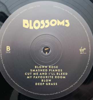 LP Blossoms: Blossoms