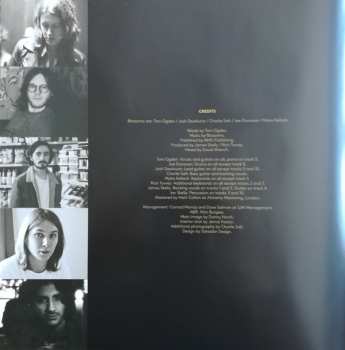 LP Blossoms: Blossoms