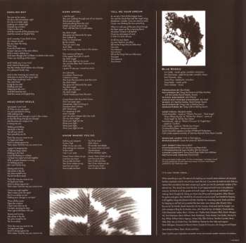 2LP Blue Rodeo: Five Days In July