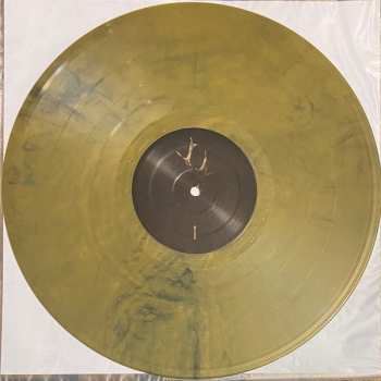 LP Blut Aus Nord: Memoria Vetusta III: Saturnian Poetry CLR