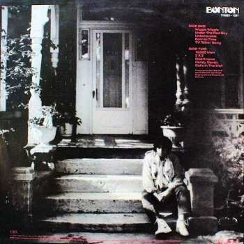 LP Bob Dylan: Under The Red Sky