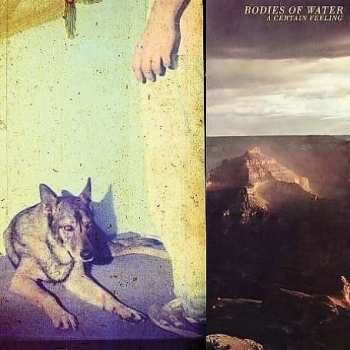 CD Bodies Of Water: A Certain Feeling