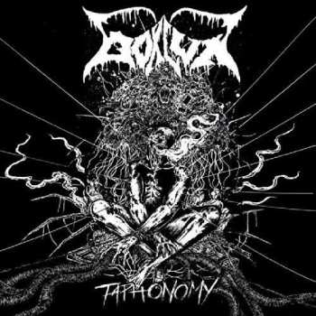 Album Bokluk: Taphonomy