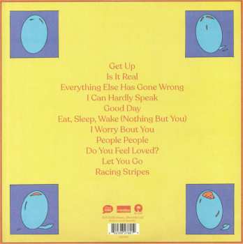 2LP Bombay Bicycle Club: Everything Else Has Gone Wrong DLX