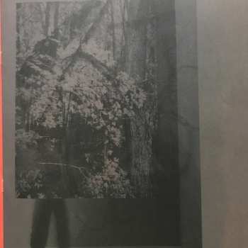 LP Bon Iver: i,i
