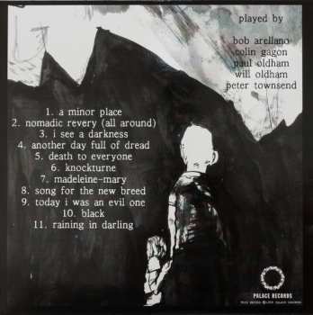 LP Bonnie "Prince" Billy: I See A Darkness