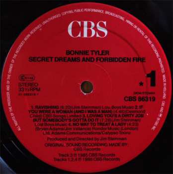 LP Bonnie Tyler: Secret Dreams And Forbidden Fire