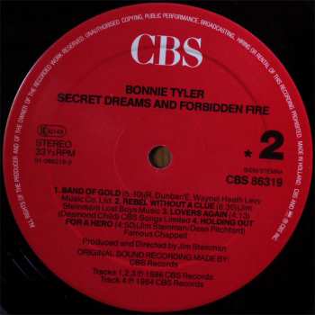 LP Bonnie Tyler: Secret Dreams And Forbidden Fire