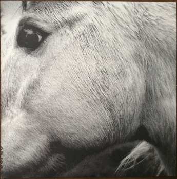 LP Bonny Light Horseman: Bonny Light Horseman