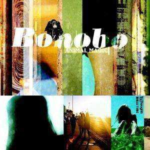 Album Bonobo: Animal Magic