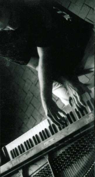 CD Borah Bergman Trio: Luminescence