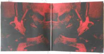 2LP Borgne: Y LTD