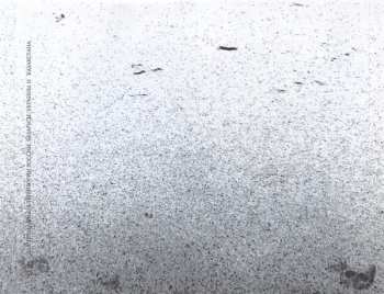 CD Born From Pain: In Love With The End