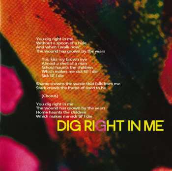 CD Bosnian Rainbows: Bosnian Rainbows