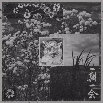 Astro: 一期一会