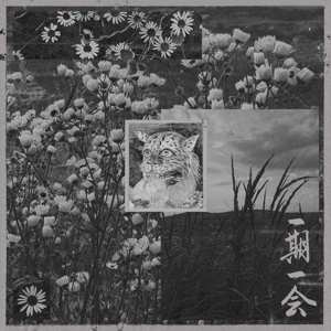 2CD Astro: 一期一会 LTD