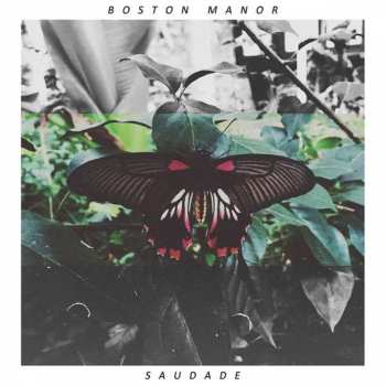 Album Boston Manor: Saudade