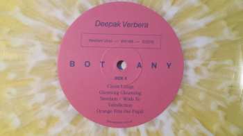 LP Botany: Deepak Verbera LTD | CLR
