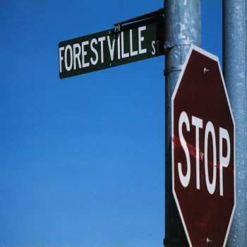 Album Bracket: 924 Forestville St.