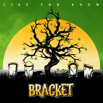 CD Bracket: Like You Know