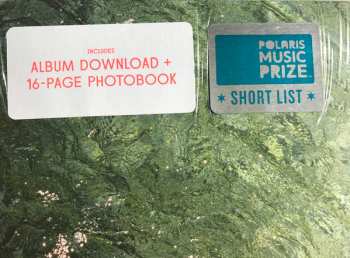 LP Braids: Deep In The Iris