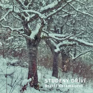 Bratři Karamazovi: Studený Dříví