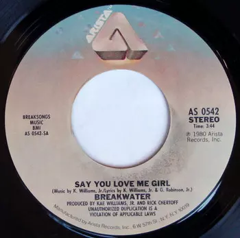 Say You Love Me Girl