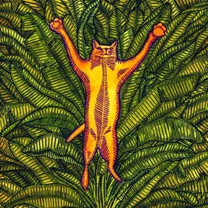 Gatos do Sul