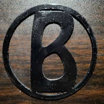 CD Bride: Snakes In The Playground [Acoustic]