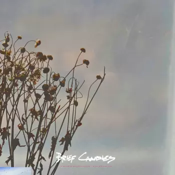 Brief Candles: Unfinished Nature