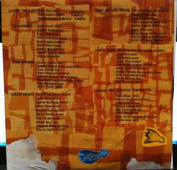 2LP Broken Social Scene: You Forgot It In People