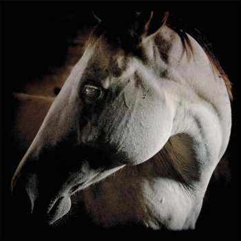 CD Brother Dege: How To Kill A Horse