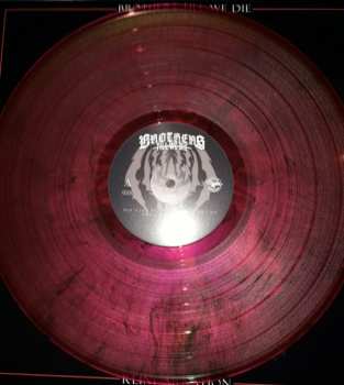 LP Brothers Till We Die: Reincarnation CLR