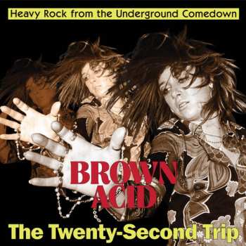 LP Brown Acid - Twenty-second Trip / Various: Brown Acid - Twenty-second Trip / Various