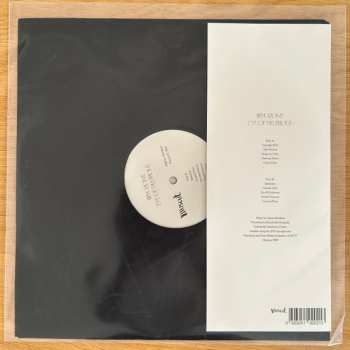 LP Bryozone: Eye Of Delirious LTD