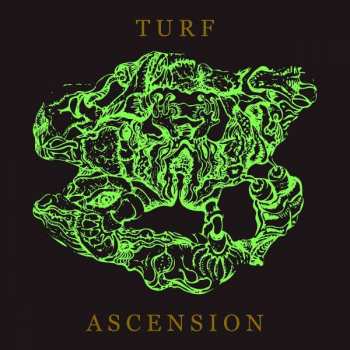 CD Bubblemath: Turf Ascension