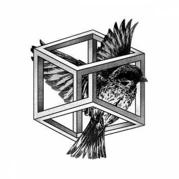 Album Bufi: Revelación