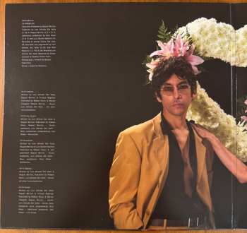 LP Buscabulla: Se Amaba Así CLR