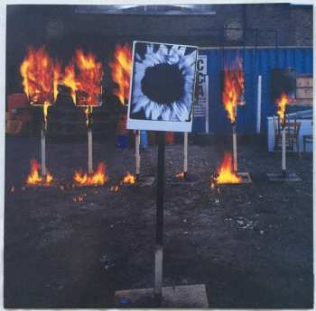 2LP Bush: Razorblade Suitcase: In Addition LTD | CLR