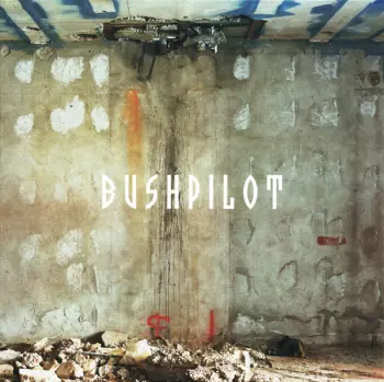 Bushpilot: Already!