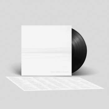 LP Foo Fighters: But Here We Are