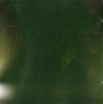 CD By The Tree: Hold You High