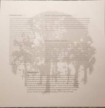 2LP The Fucking Champs: III