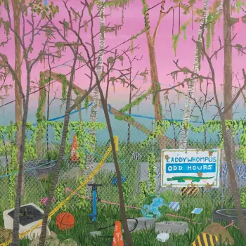 Caddywhompus: Odd Hours