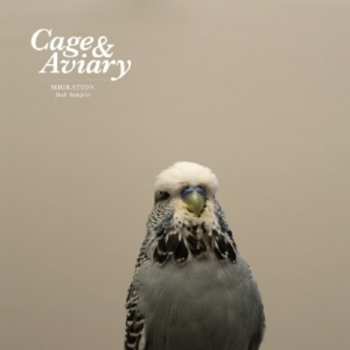 2LP Cage & Aviary: Migration